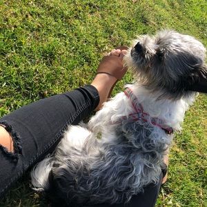 Meet your Posher, Alo